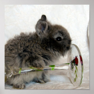 Póster Lionhead Bunny e Wineglass