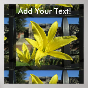 Póster Lírio amarelo bonito