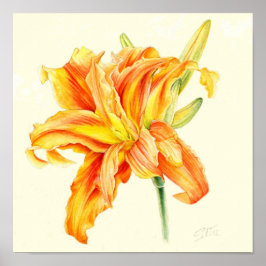 Póster Lírio Asiático Hemerocallis laranja aquarela dupla
