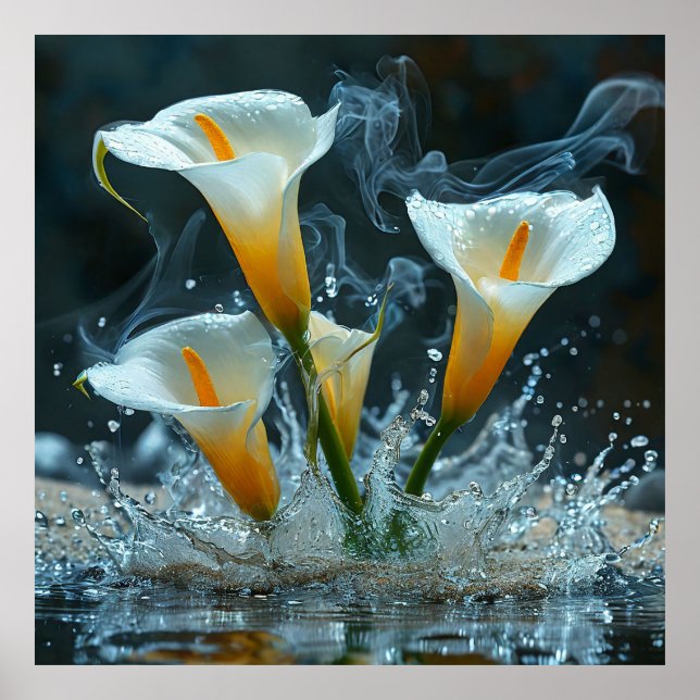 Poster 🌿 Lírio Calla Splash de Água Decoração de Naturez (Frente)