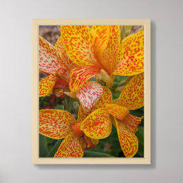 Poster Lírio-de-canna-amarelo com Floral Pontos Vermelhos