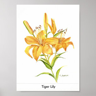 Póster Lírio de tigre no ouro e na aguarela amarela