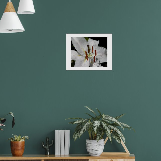 Poster Lírio Oriental Branco Floral Fotográfico (Sala de Estar 1)
