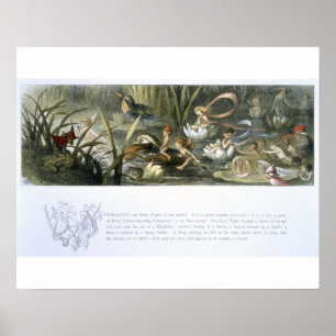 Póster Lírios-Água e Fadas-Água, ilustração de