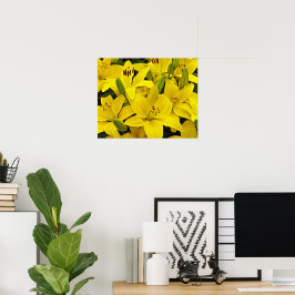 Poster Lírios Asiáticos Amarelos Fotografia Floral