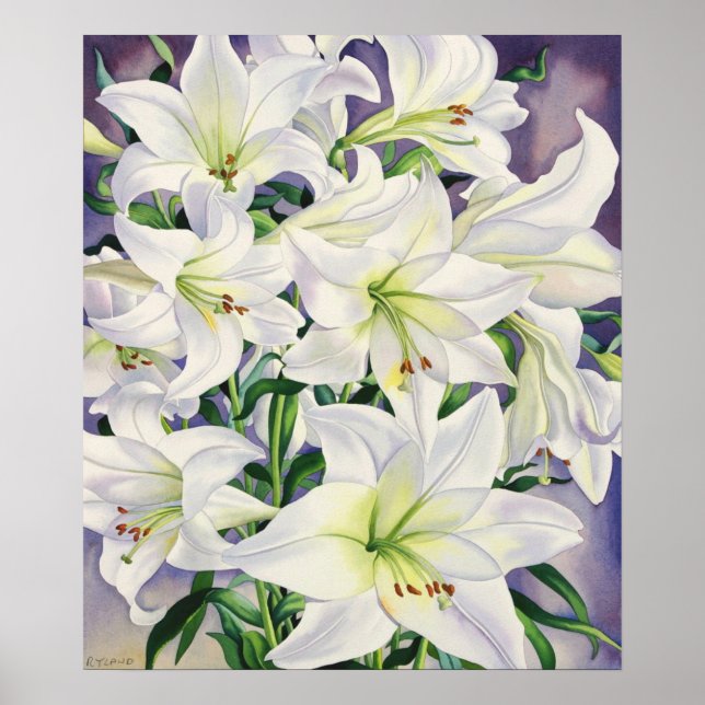 Poster Lírios brancos 2008 (Frente)