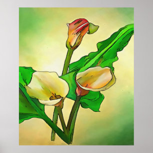 Poster Lírios Calla Contra Ombro Verde
