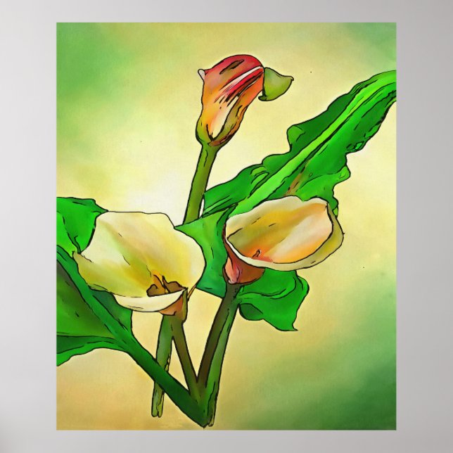 Poster Lírios Calla Contra Ombro Verde (Frente)