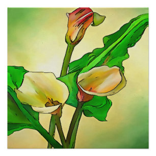 Póster Lírios Calla Contra Ombro Verde