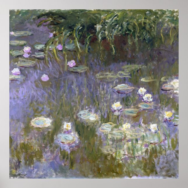 Poster Lírios-da-água, pintor francês monet claude (Frente)