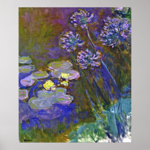 Poster Lírios de água de Monet e Agapanthus