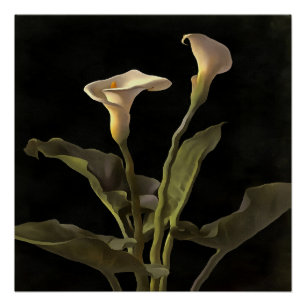 Póster Lírios De Páscoa Surreal Num Fundo Preto