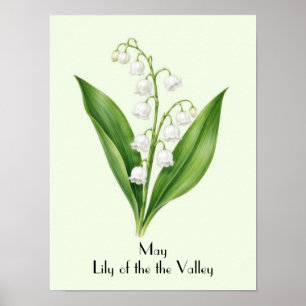 Poster Lírios do Vale de Maio