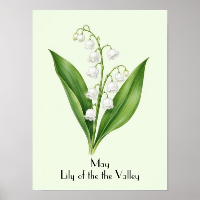 Poster Lírios do Vale de Maio (Frente)