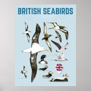 Poster Lista de aves marinhas britânicas aves-do-reino un