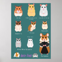 Lista de tipos de hamsters