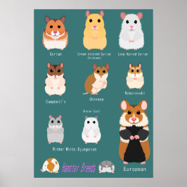 Poster Lista de tipos de hamsters