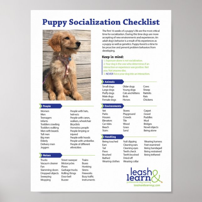 Poster Lista de verificação de socialização de puppy (Frente)