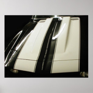 Póster Listras de Camaro