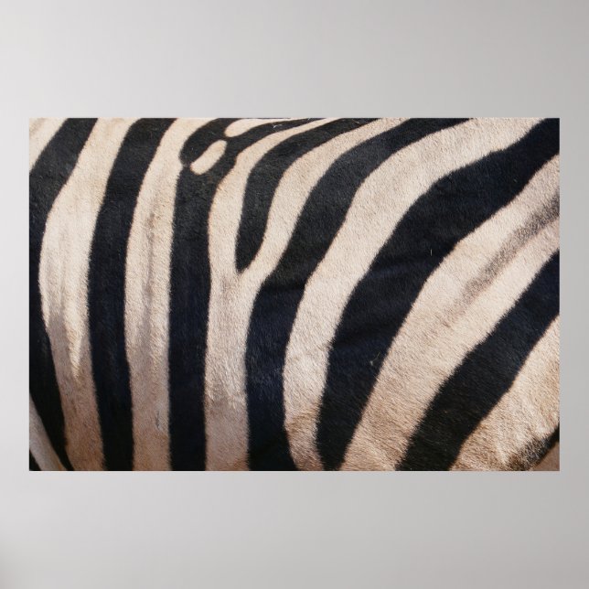 Poster Listras de Zebra Preta e Branca (Frente)