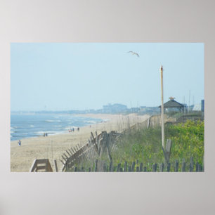 Póster Litoral de North Carolina do pato