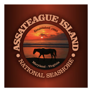 Póster Litoral do nacional da ilha de Assateague