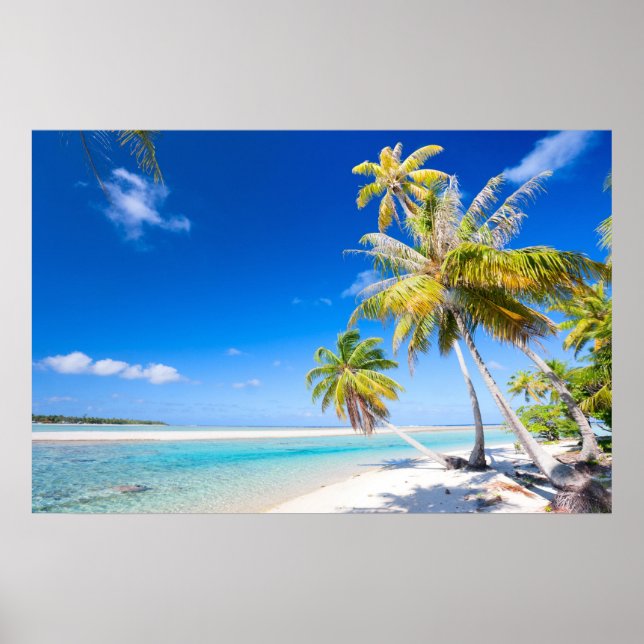 Póster Litoral tropical (Frente)