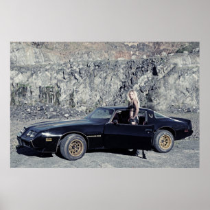 Poster Litro 1979 do transporte Am 6,6 de Pontiac V8