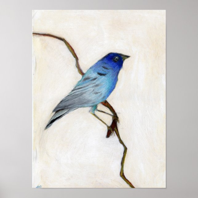 Póster Little Blue 2012 (Frente)