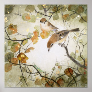 Póster Little Creature-Bull-headed Shrikes