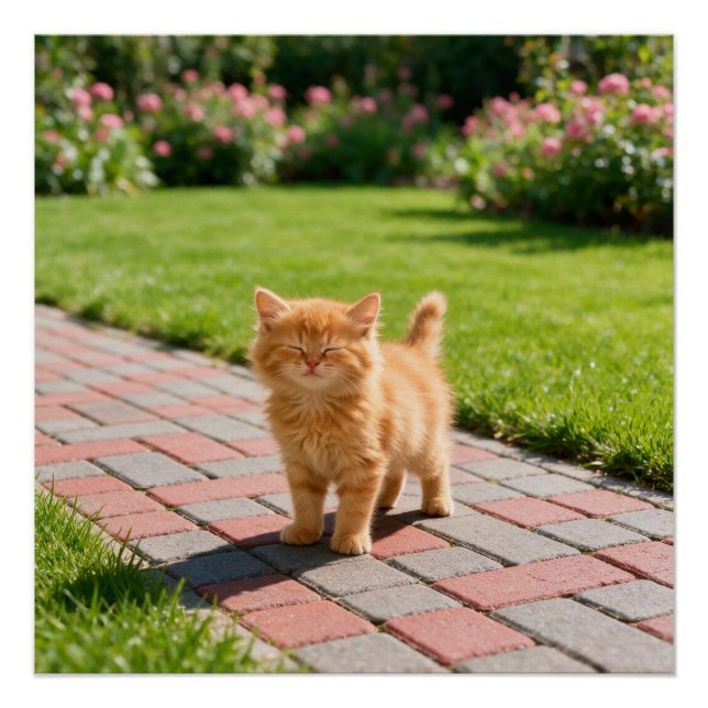 Póster Little cute  orange cat  (Frente)
