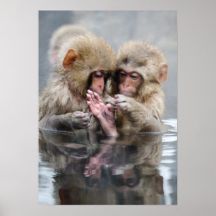 Póster Little Monkeys   Hot Springs, Japan