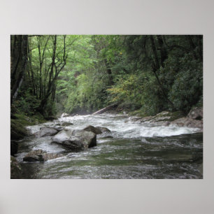 Poster Little Pigeon River