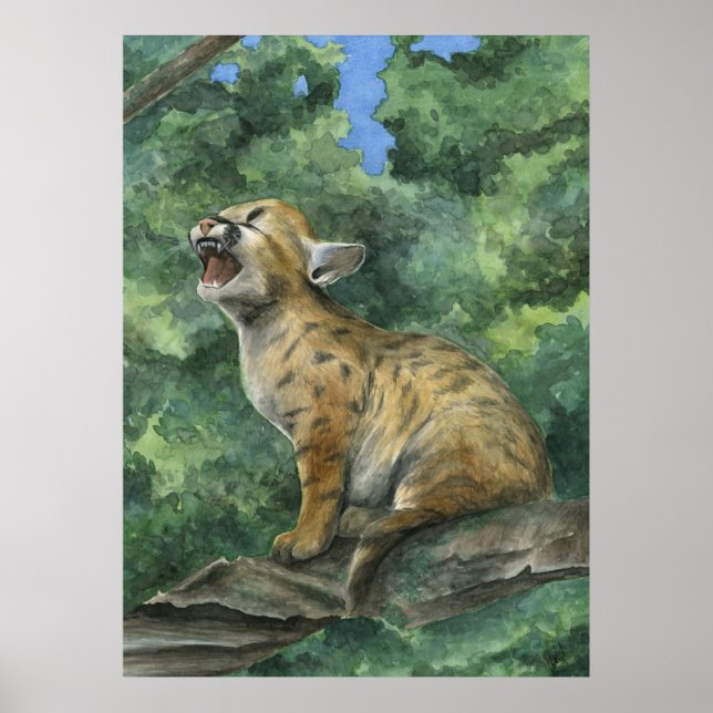 Póster Little Puma (Frente)