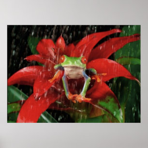 Póster Little_Rain_(4)
