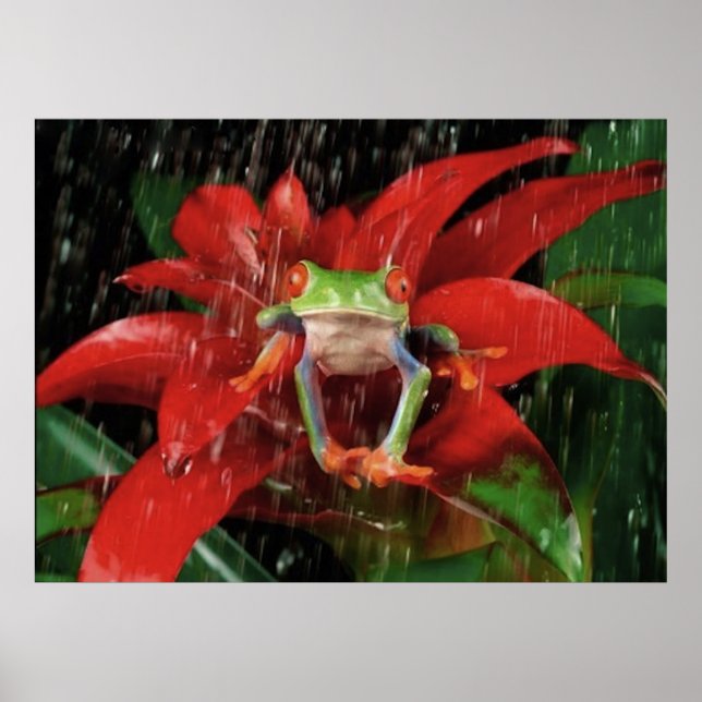 Póster Little_Rain_(4) (Frente)