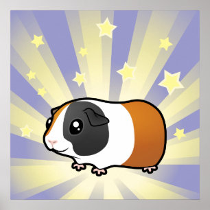 Póster Little Star Guinea Pig (smooth hair)