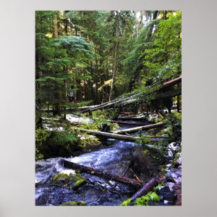 Poster Little Zigzag River, OR