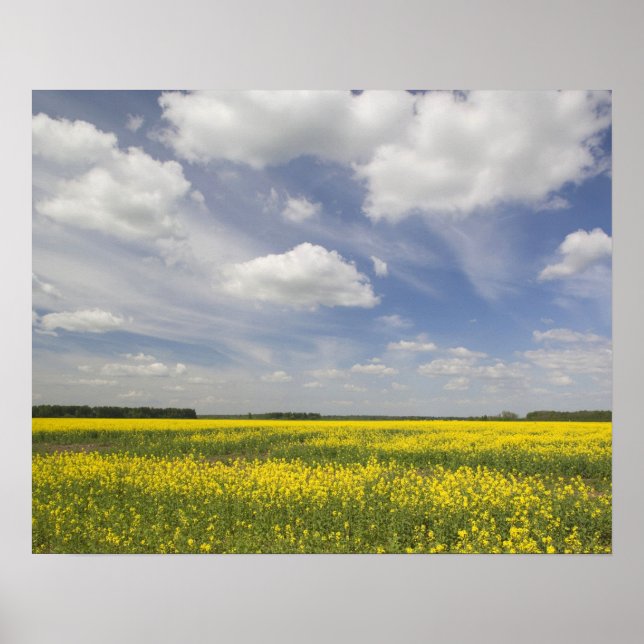 Póster Lituânia, Lituânia Central, Joniskis, domínio de (Frente)