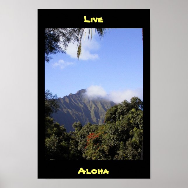 Póster Live Aloha (Frente)