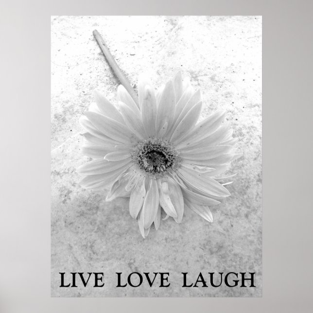 Poster Live Love Laugh Black and White Gerber Daisy (Frente)