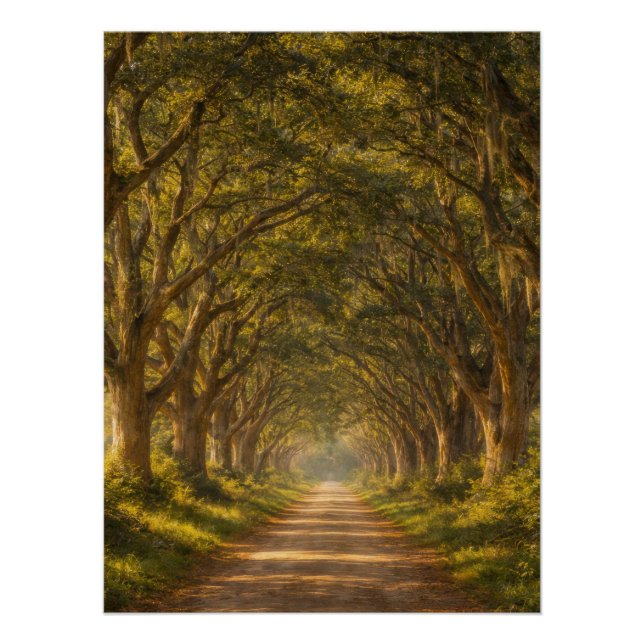 Póster Live Oak Path | Landscape | Poster (Frente)