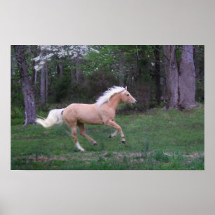 Poster Livre de cuidados