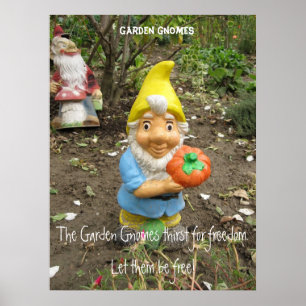 Poster Livre os gnomos do jardim