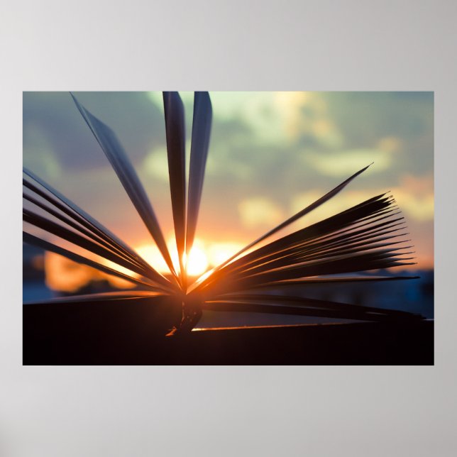 Poster Livro Aberto e Fotografia Sunset (Frente)