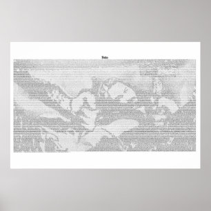 Póster Livro de John (texto completo de KJV)