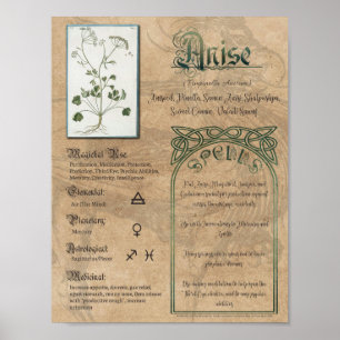 Poster Livro Herbal Anise sobre Shadows Pagan Wiccan