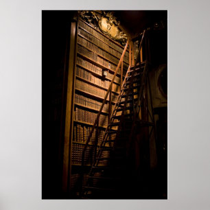 Poster Livros Moody Espelhados