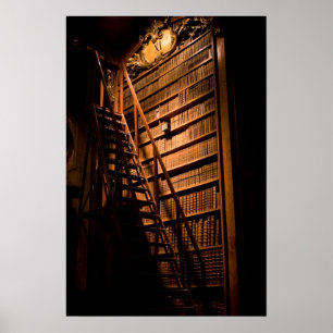 Póster Livros temperamentais