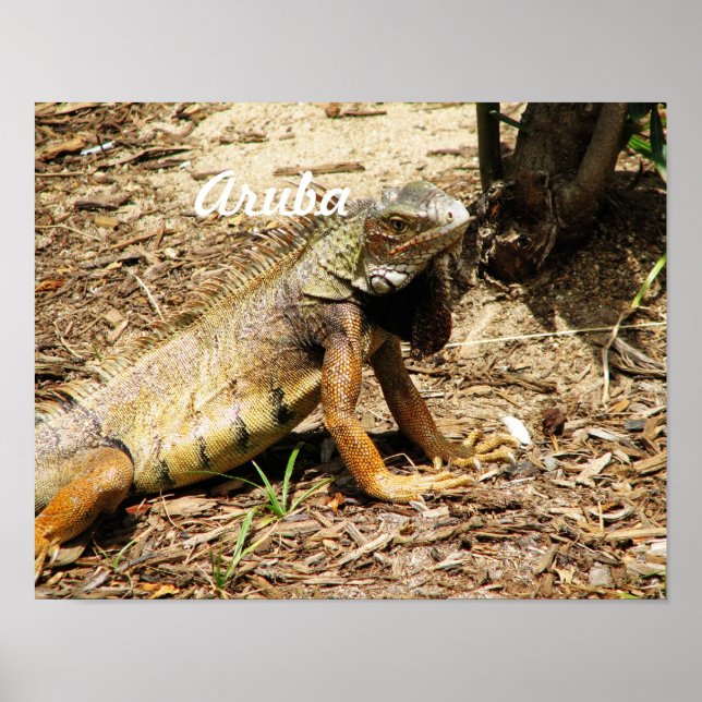 Poster Lizard (Frente)